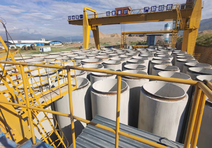 有規(guī)模有實(shí)力