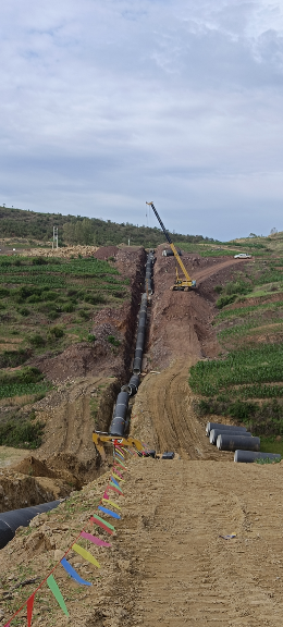 新建元謀縣姜驛鄉(xiāng)提水工程由提水工程(含提水電源)和輸水灌溉工程組成